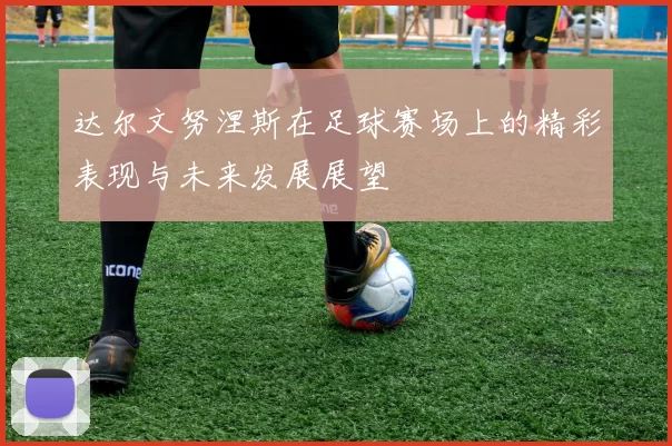 达尔文努涅斯在足球赛场上的精彩表现与未来发展展望