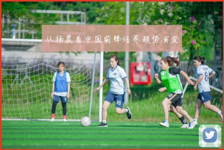 从杨晨看中国前锋培养趋势演变