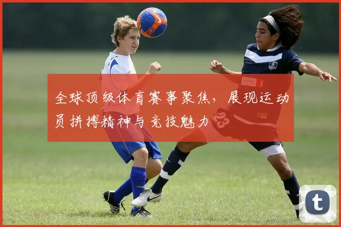 全球顶级体育赛事聚焦，展现运动员拼搏精神与竞技魅力