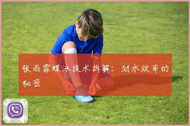 张雨霏蝶泳技术拆解：划水效率的秘密