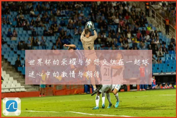 世界杯的荣耀与梦想交织在一起球迷心中的激情与期待